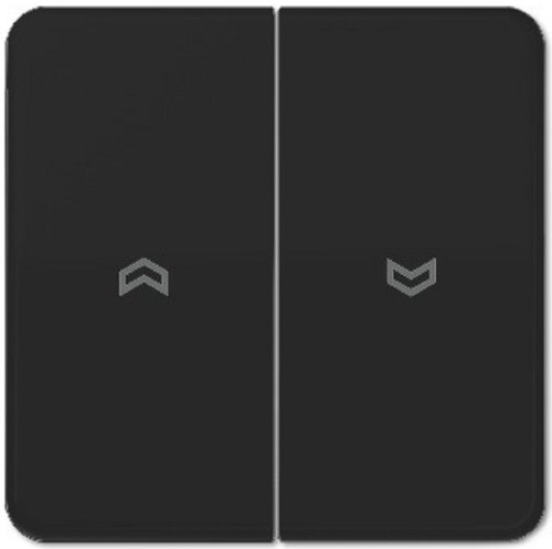 Лицевая панель Jung CD500 для 2-кл. выключателя жалюзи черный картинка